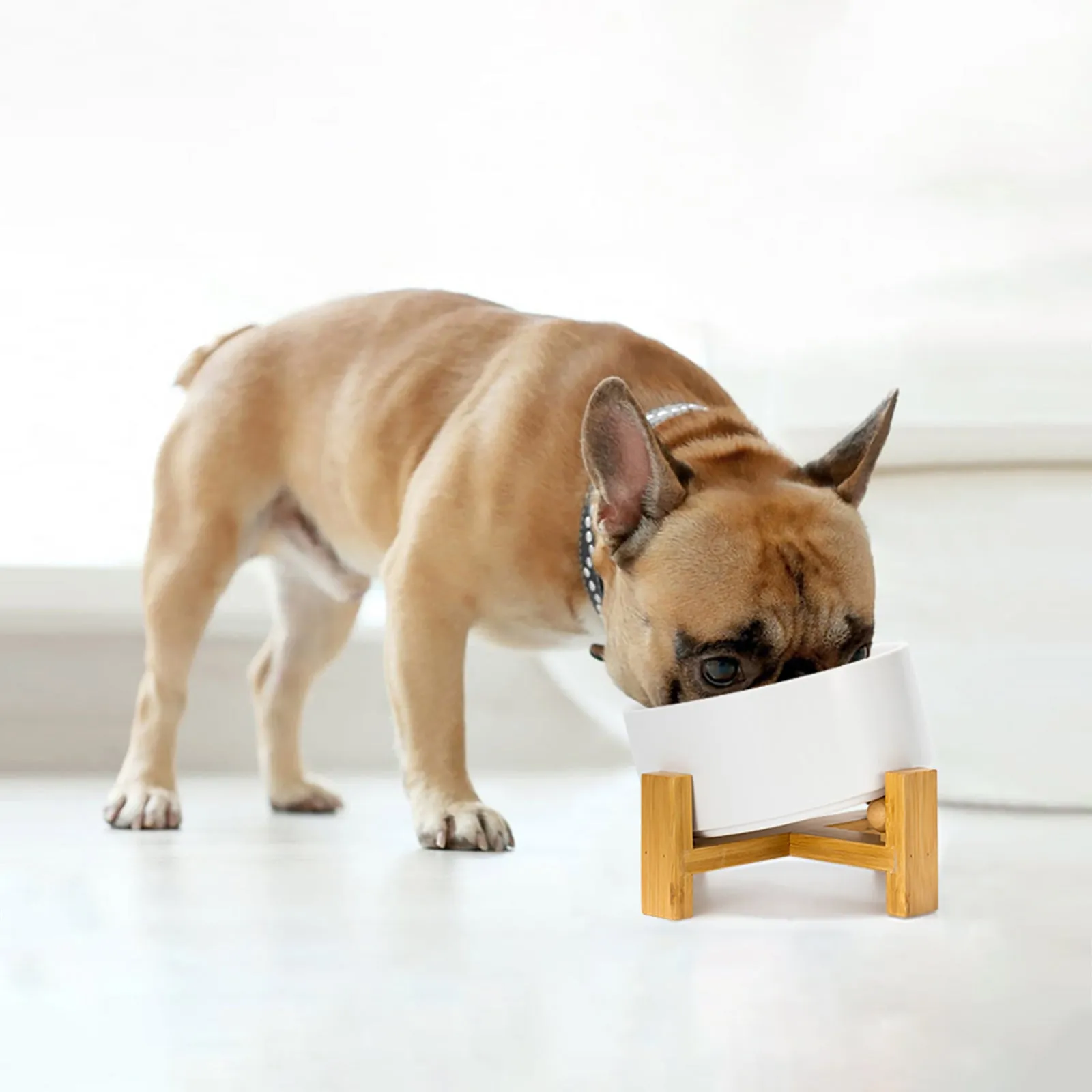 15° Slanted Ceramic Pet Bowl with Wooden Stand | Tilted Bowl for Cats & Flat Face Pets