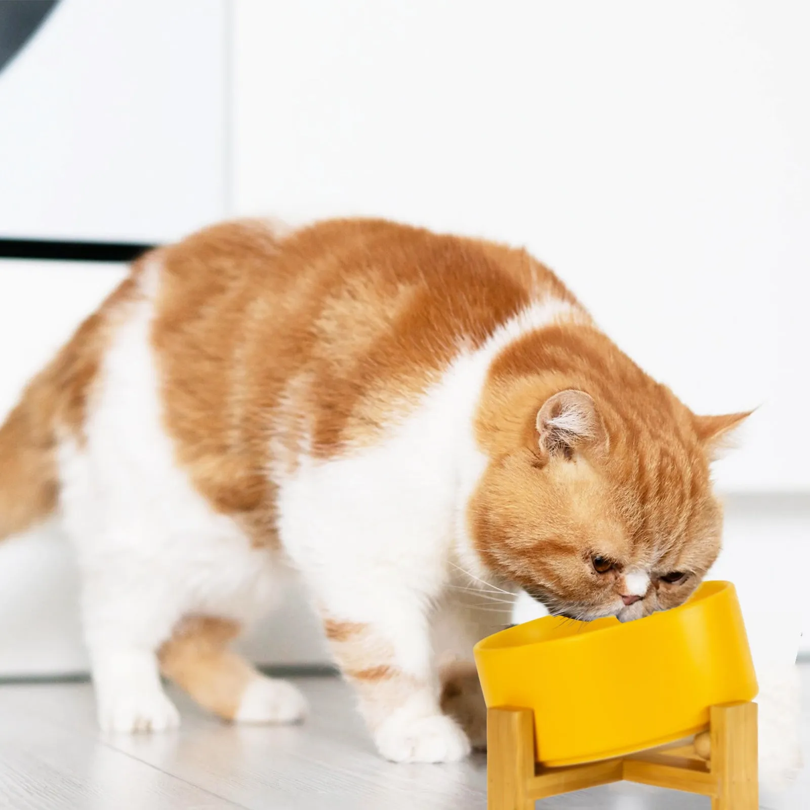 15° Slanted Ceramic Pet Bowl with Wooden Stand | Tilted Bowl for Cats & Flat Face Pets