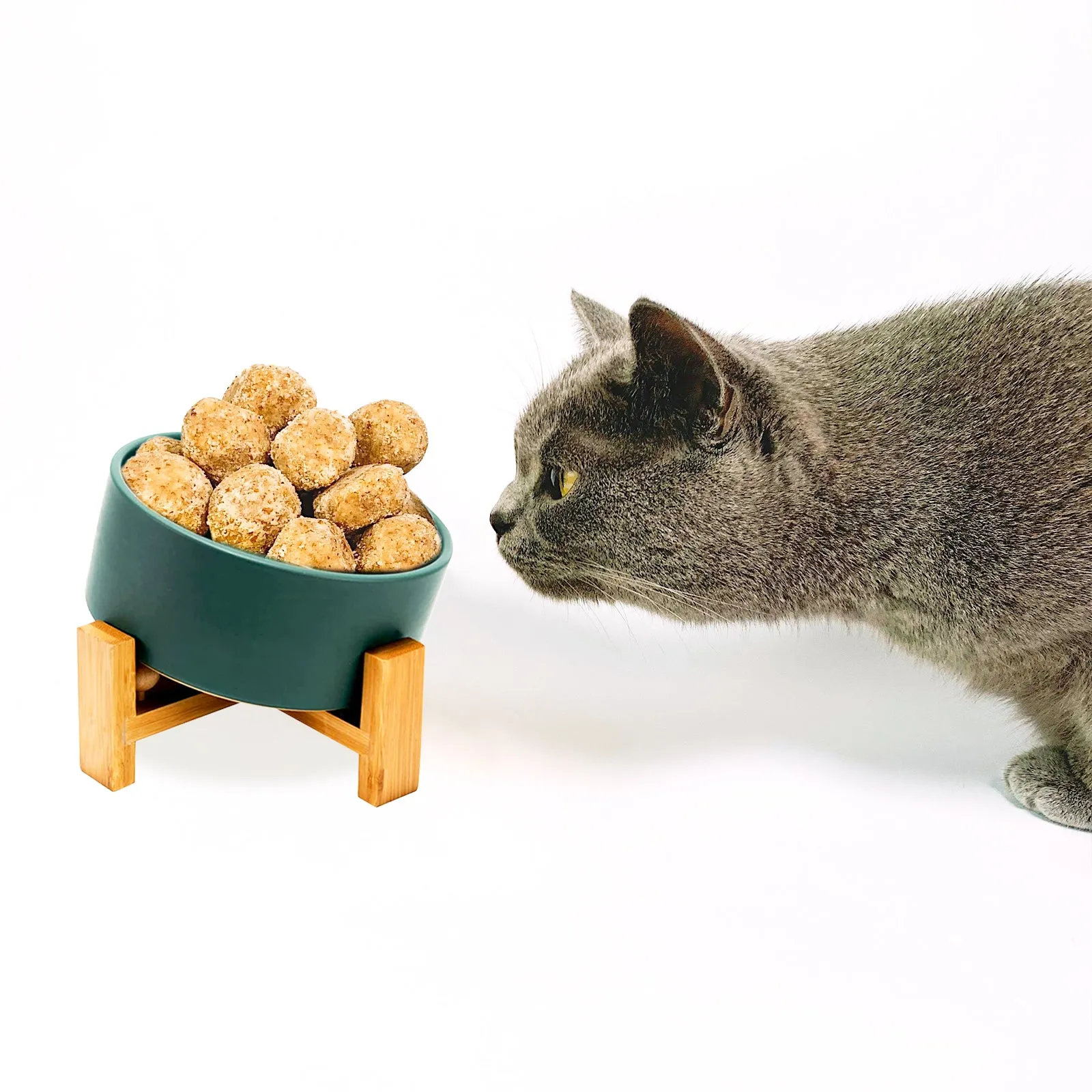 15° Slanted Ceramic Pet Bowl with Wooden Stand | Tilted Bowl for Cats & Flat Face Pets