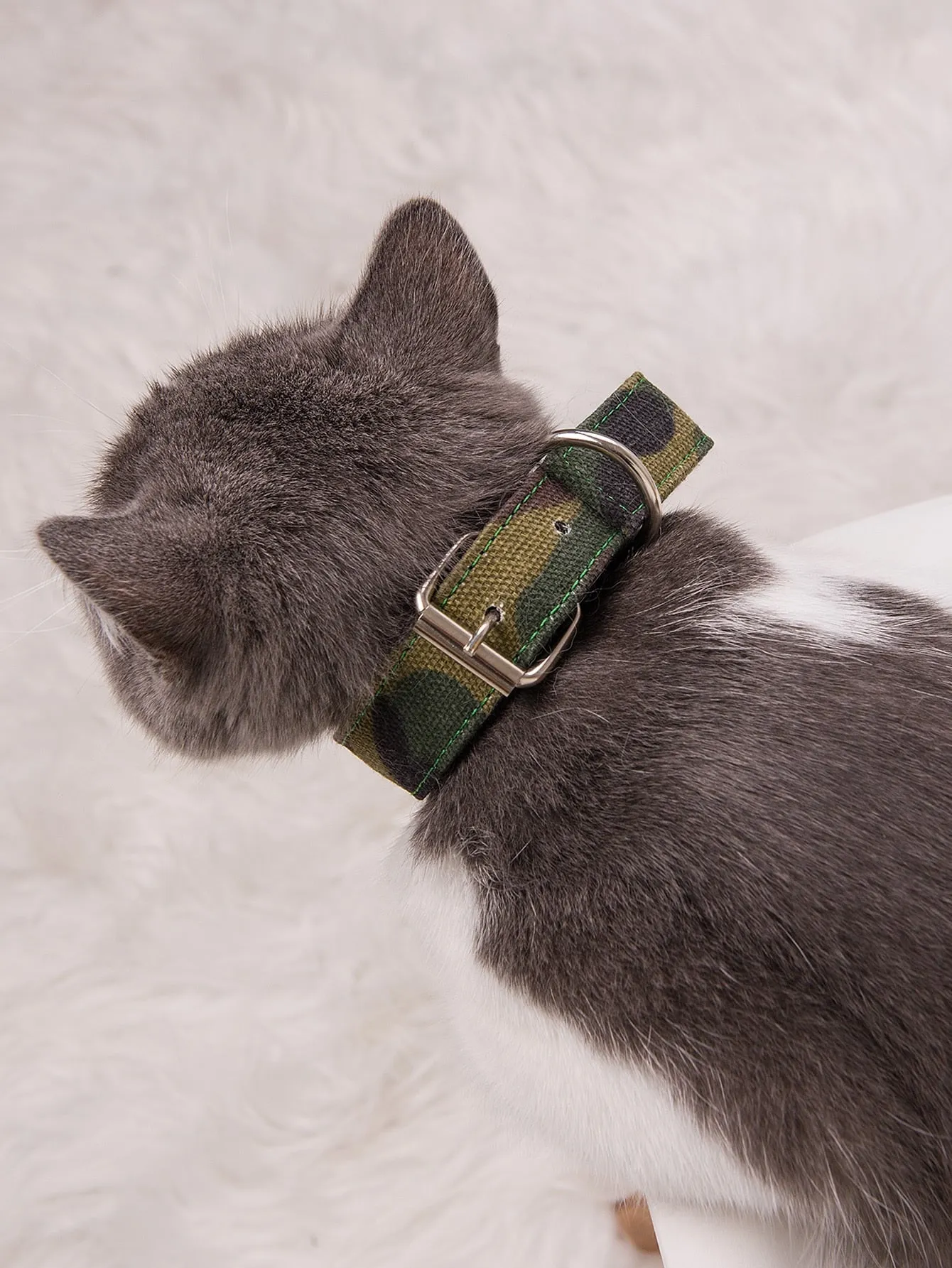 1pc Camo Pet Collar