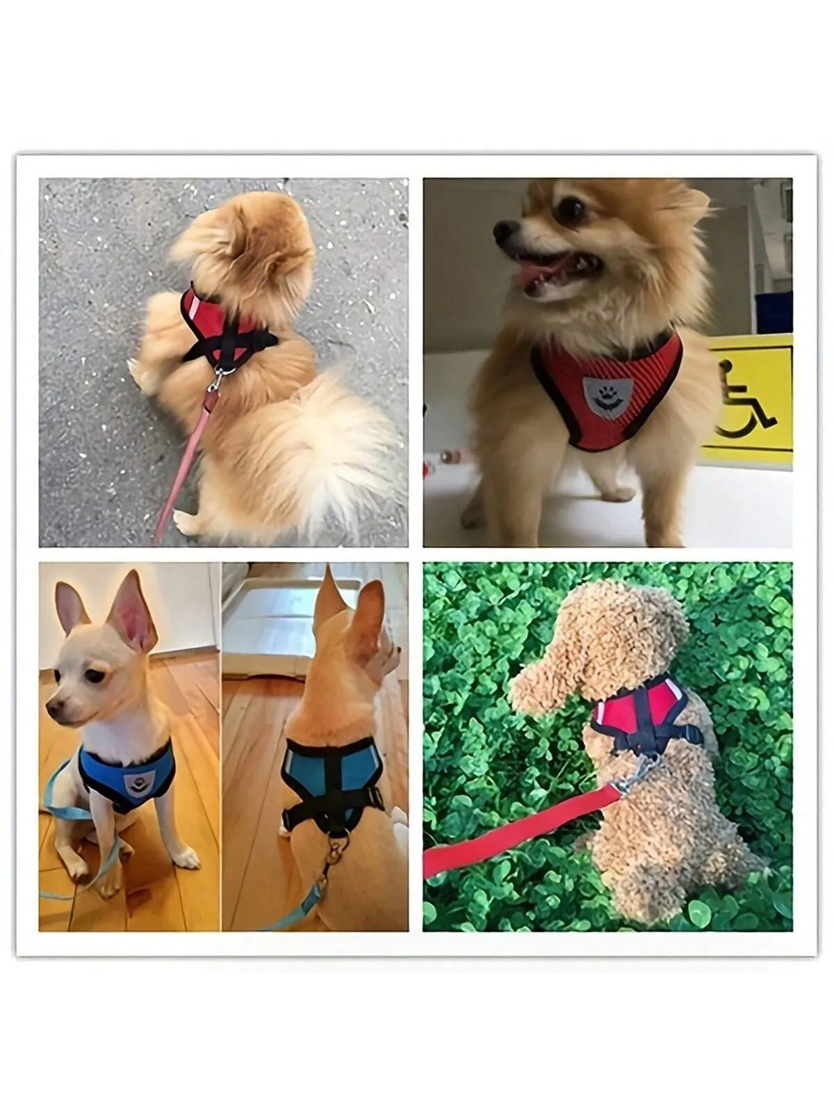Adjustable Reflective Pet Harness and Leash Set for Dogs and Cats