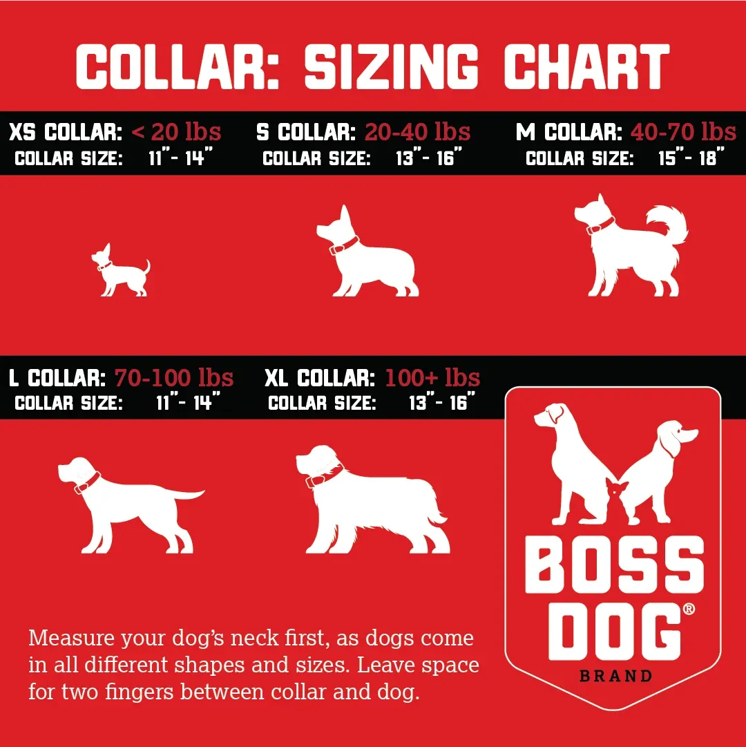 Boss Dog® Boss Tactical™ Camo Orange Adjustable Collar