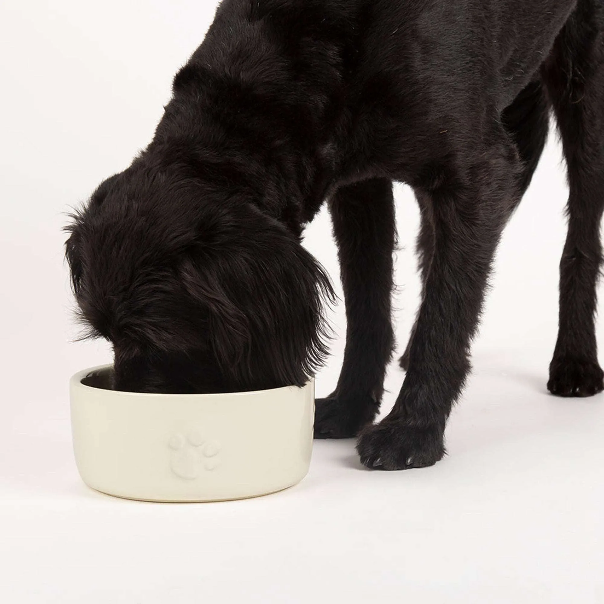 Ceramic Icon Dog Food Bowl