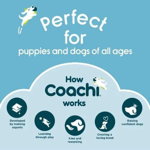 Coachi Navy & Coral Dog Training Lead - 10m