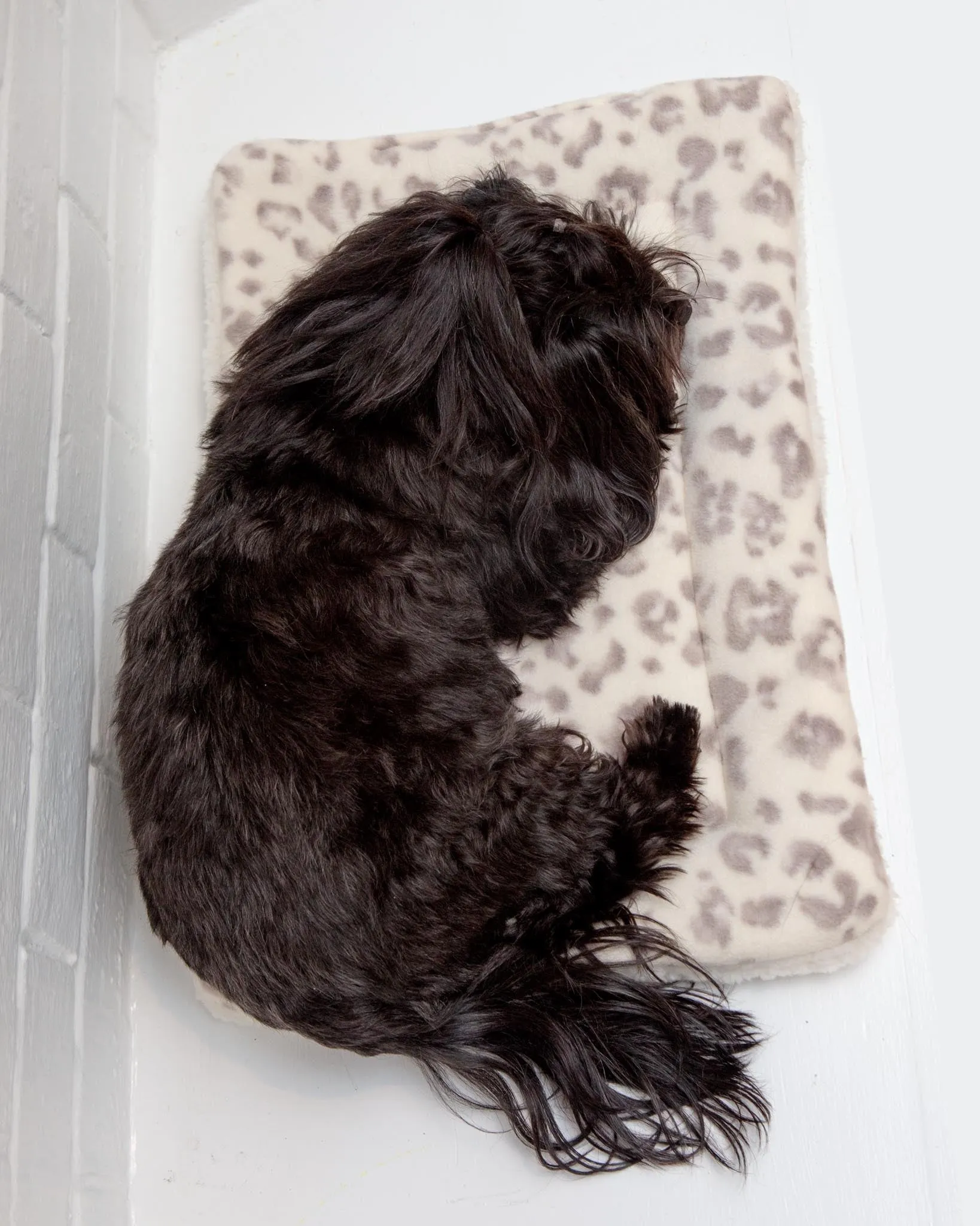 Cream Leopard Plush Fleece Pet Napping Mat (Made in the USA) (FINAL SALE)