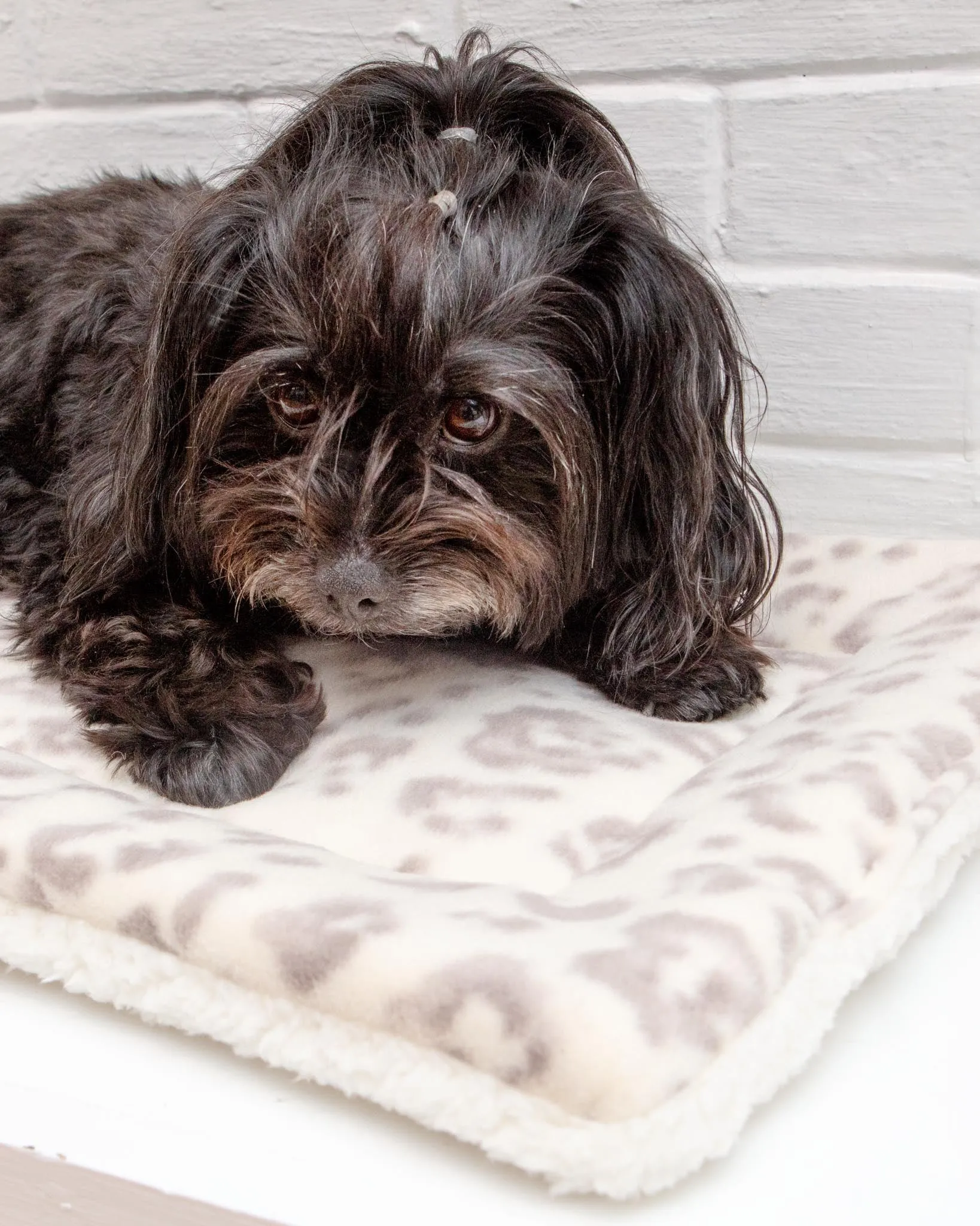 Cream Leopard Plush Fleece Pet Napping Mat (Made in the USA) (FINAL SALE)
