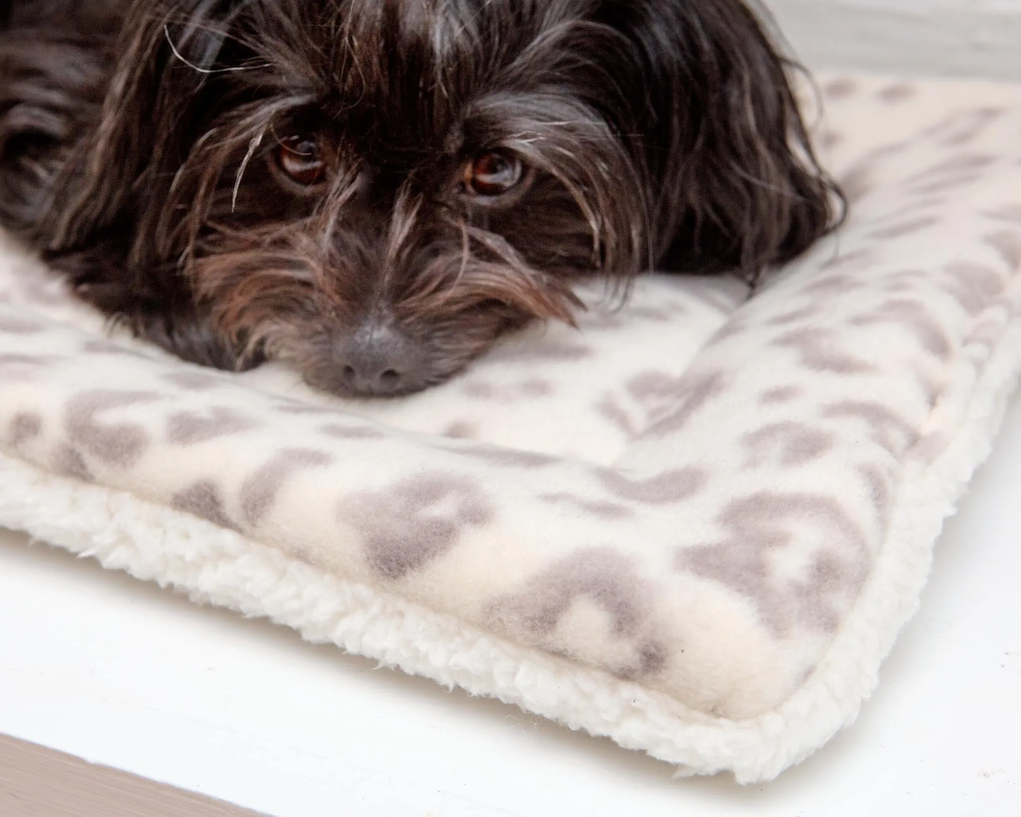 Cream Leopard Plush Fleece Pet Napping Mat (Made in the USA) (FINAL SALE)