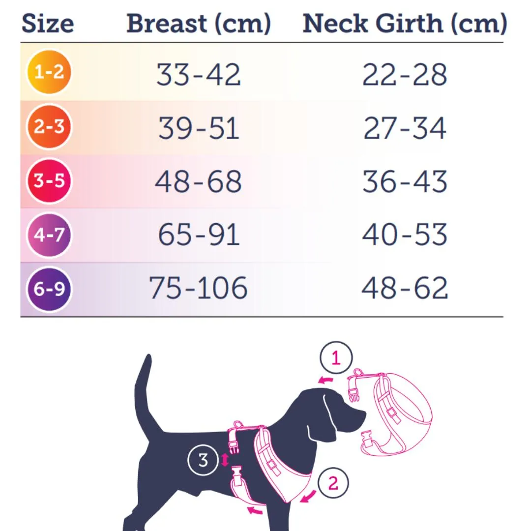 Doodlebone Adjustable Airmesh Dog Harness - Grey Stars Glow In The Dark
