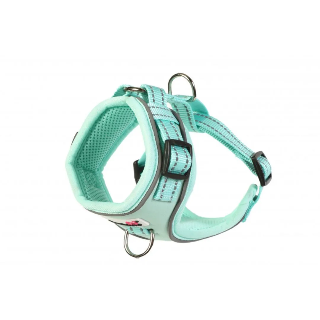 Doodlebone Adjustable Airmesh Dog Harness - Mint