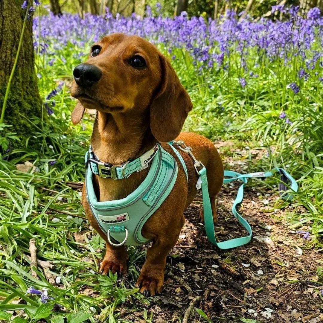 Doodlebone Adjustable Airmesh Dog Harness - Mint