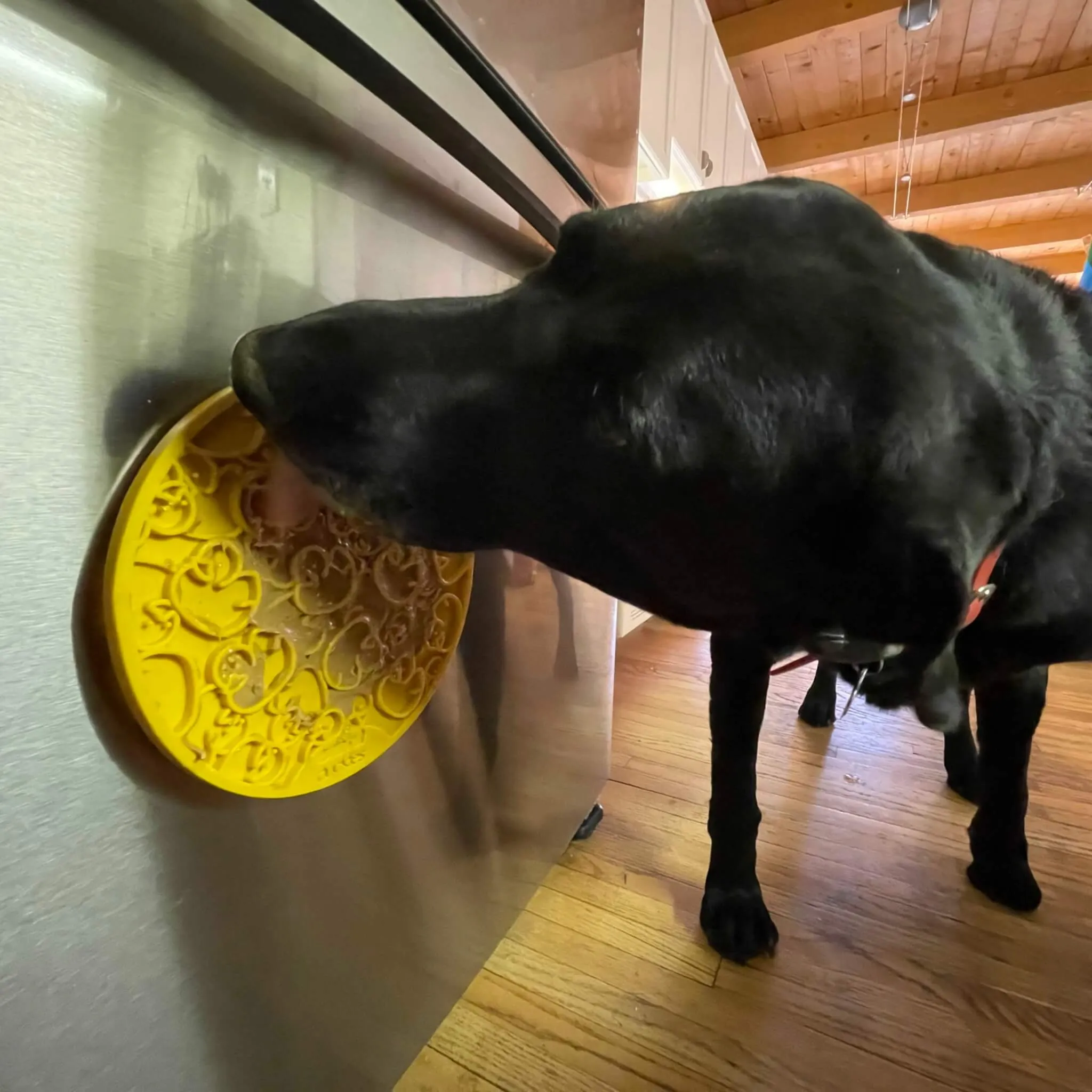 Duckies Design Enrichment Licking Mat with Suction Cups