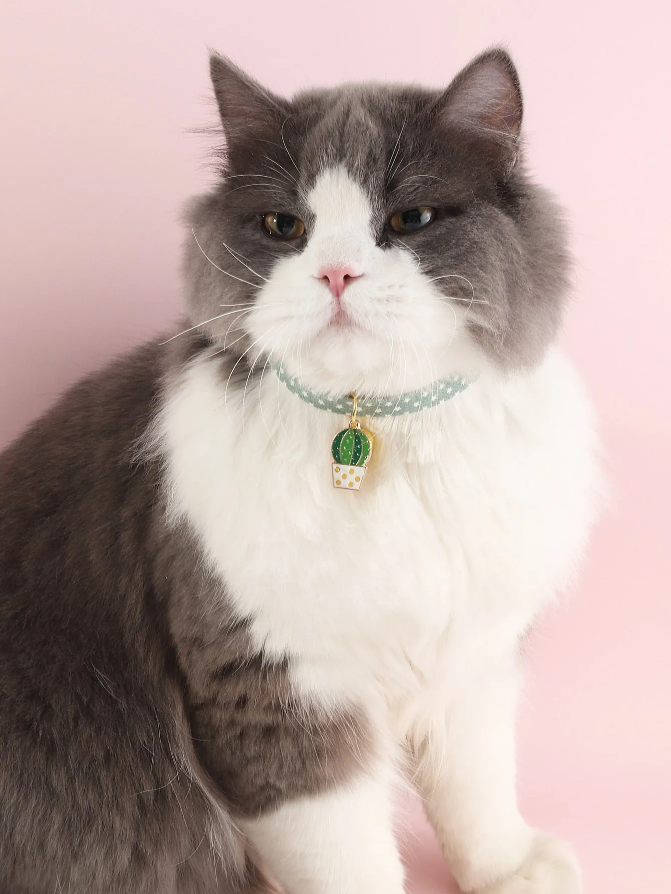 Egg Decor Pet Necklace