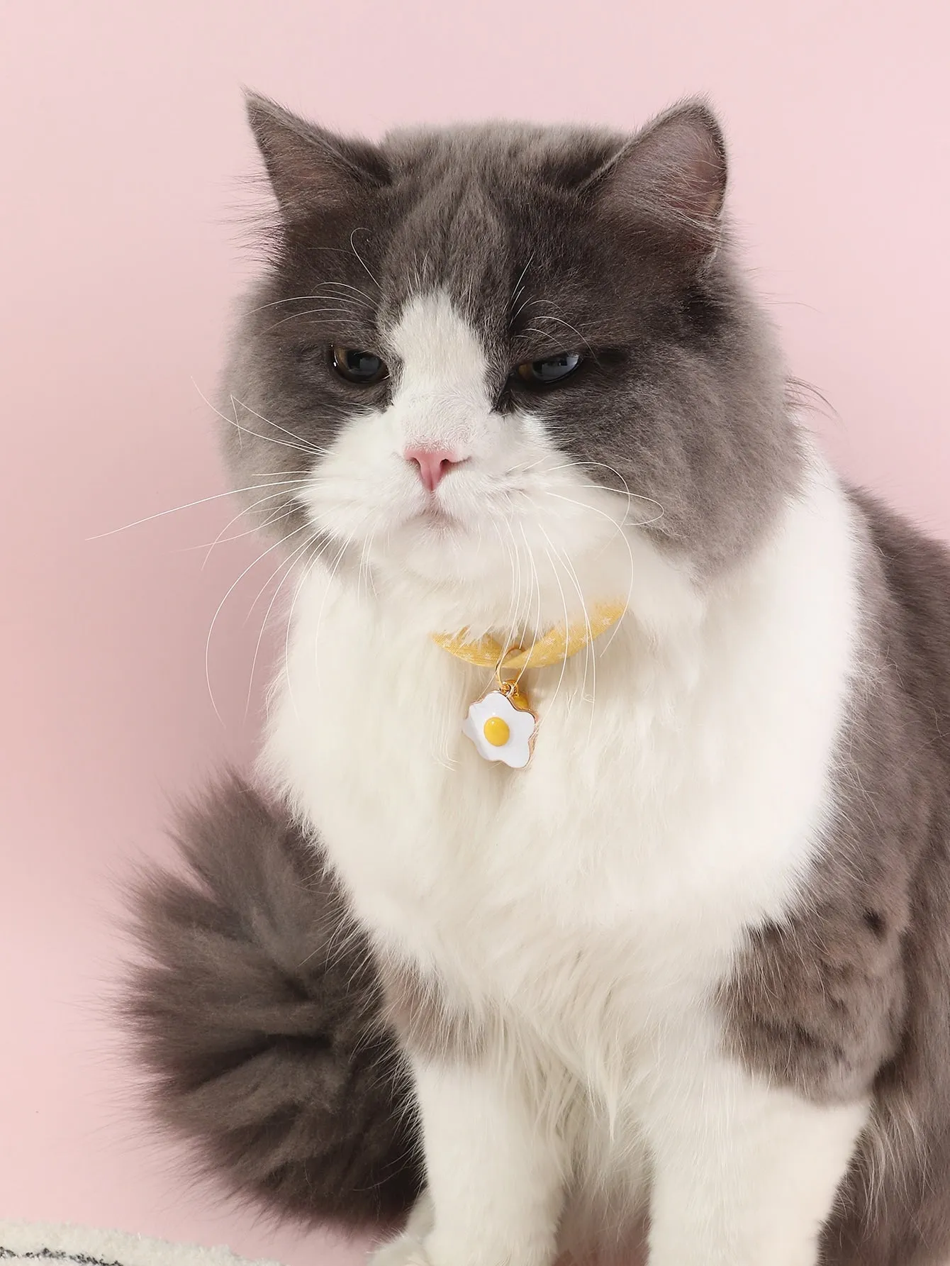 Egg Decor Pet Necklace