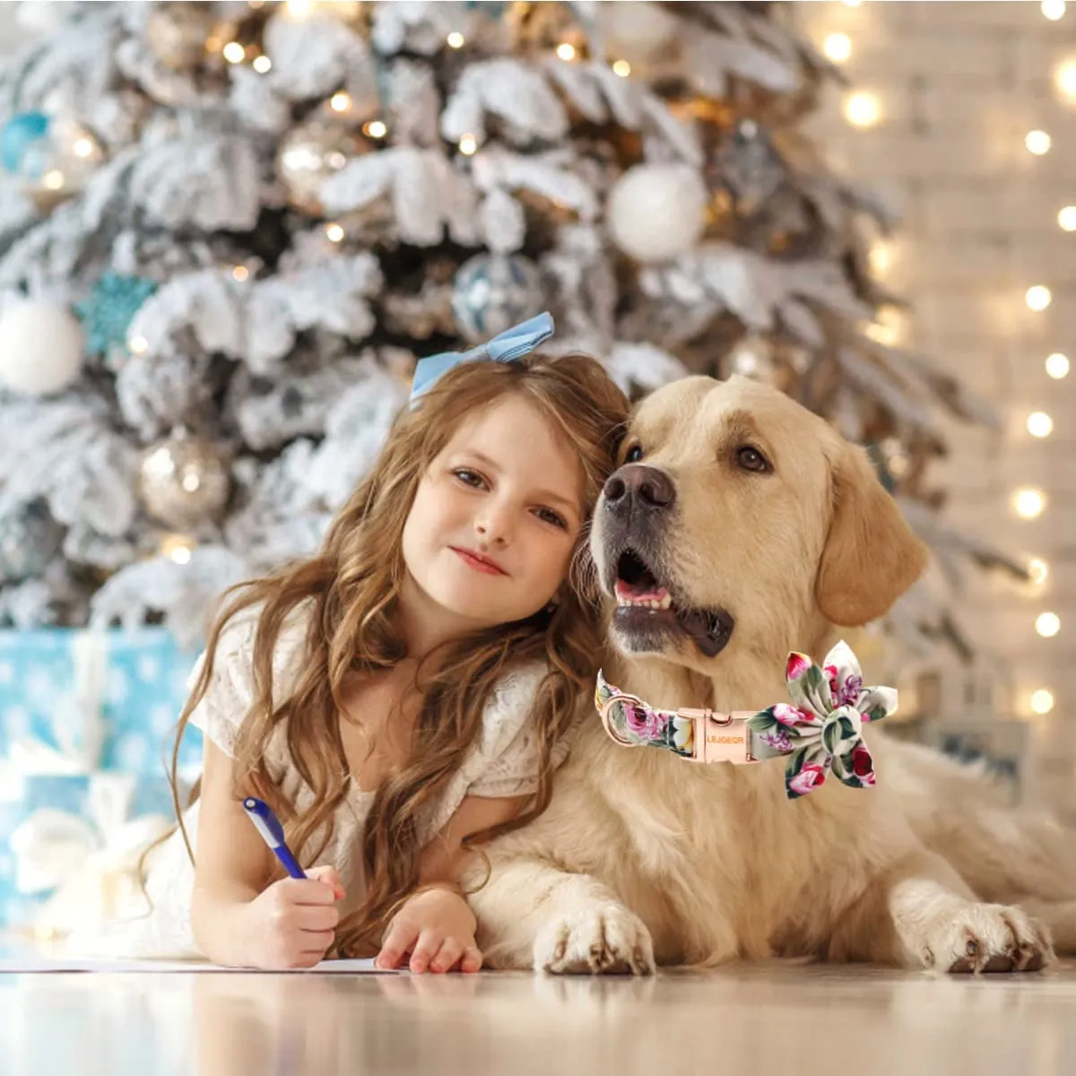Floral Girl Dog Collar