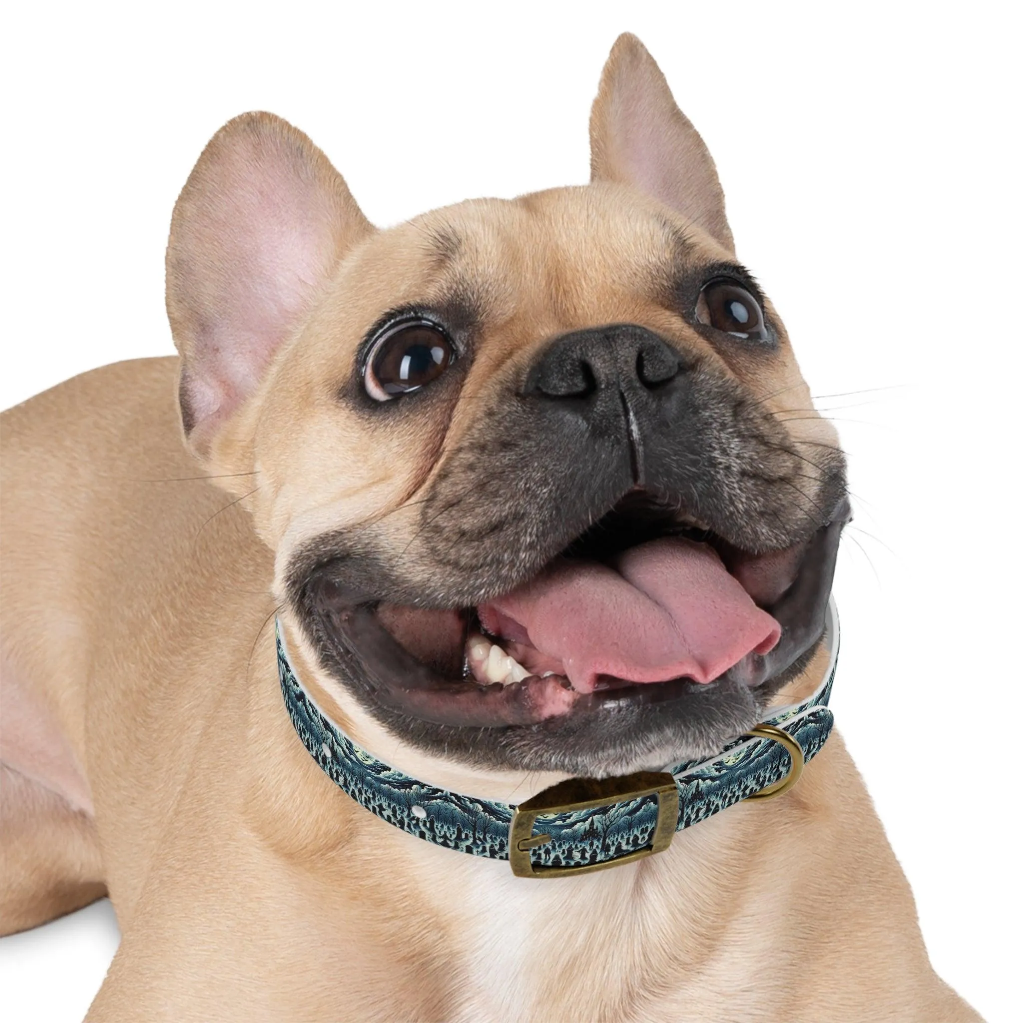 Graveyard Glow Dog Collar