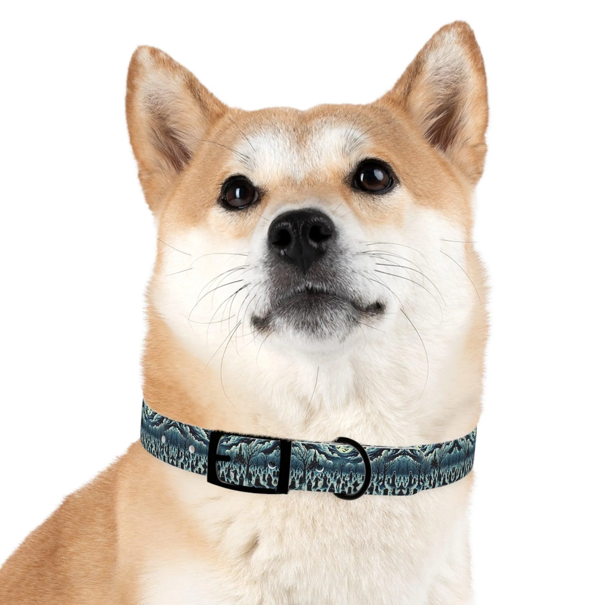 Graveyard Glow Dog Collar