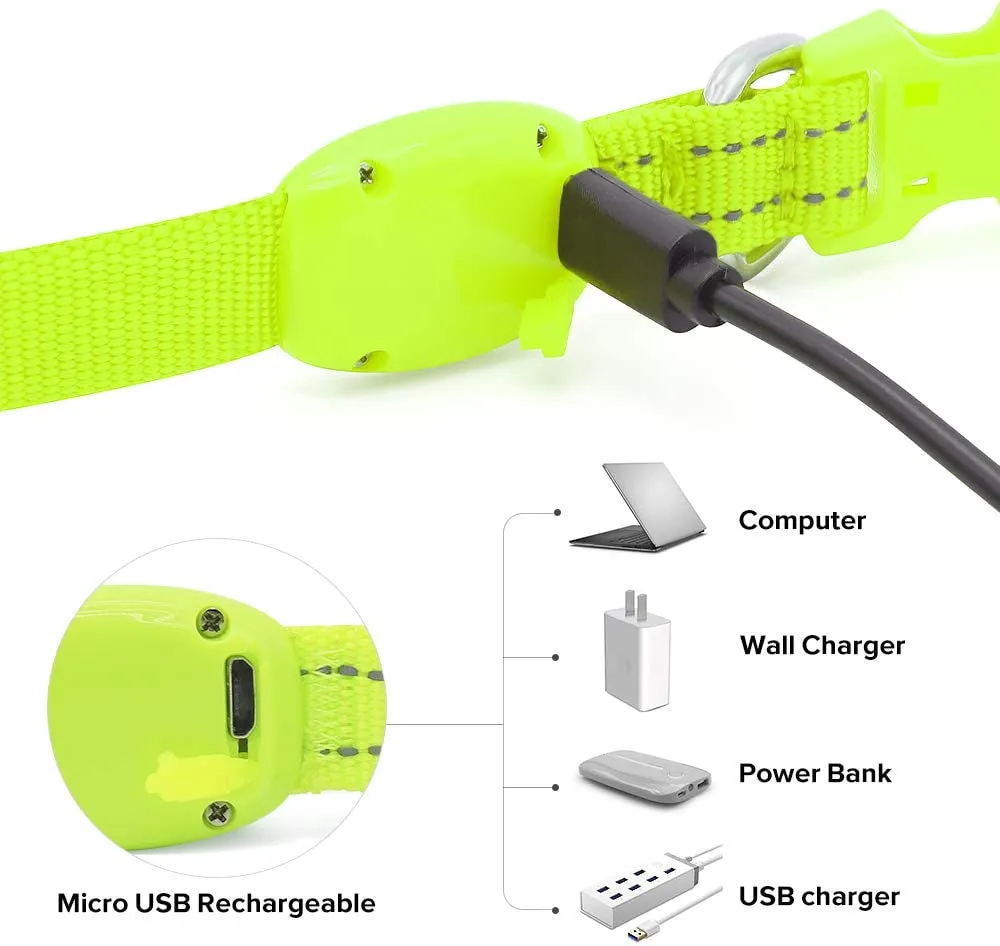 Green Glowing Cat Collar