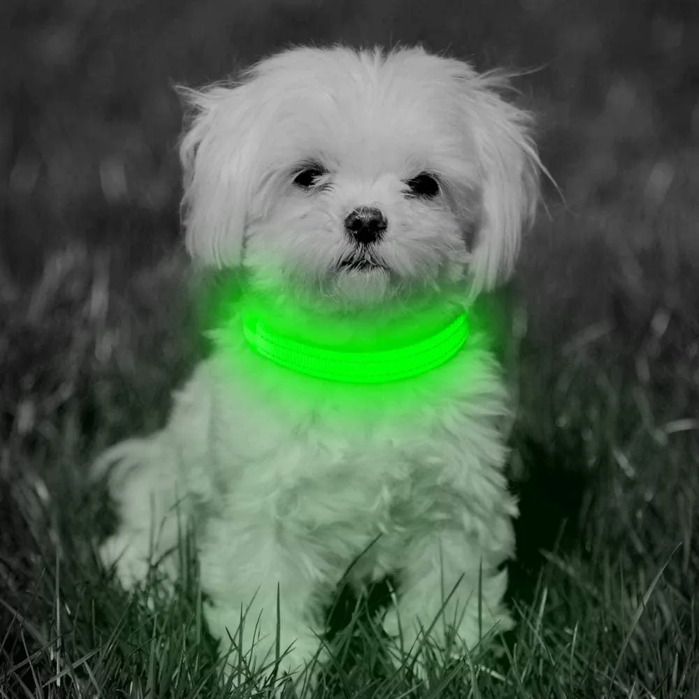 Green Glowing Cat Collar