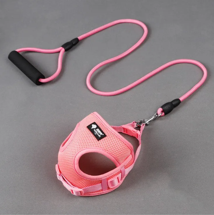 harness and Leash Set