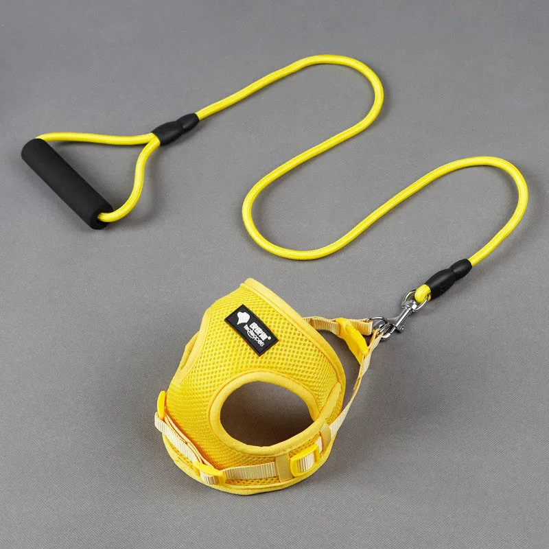 harness and Leash Set