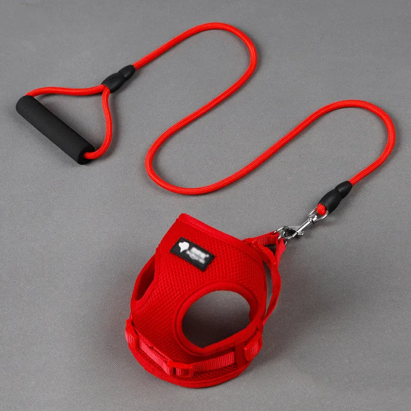harness and Leash Set