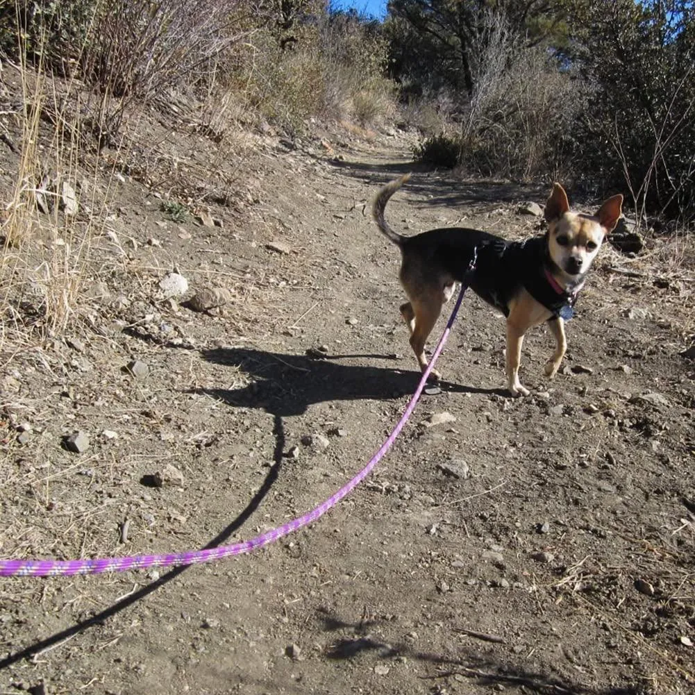 Heavy Duty  Nylon Pet Training Leash,