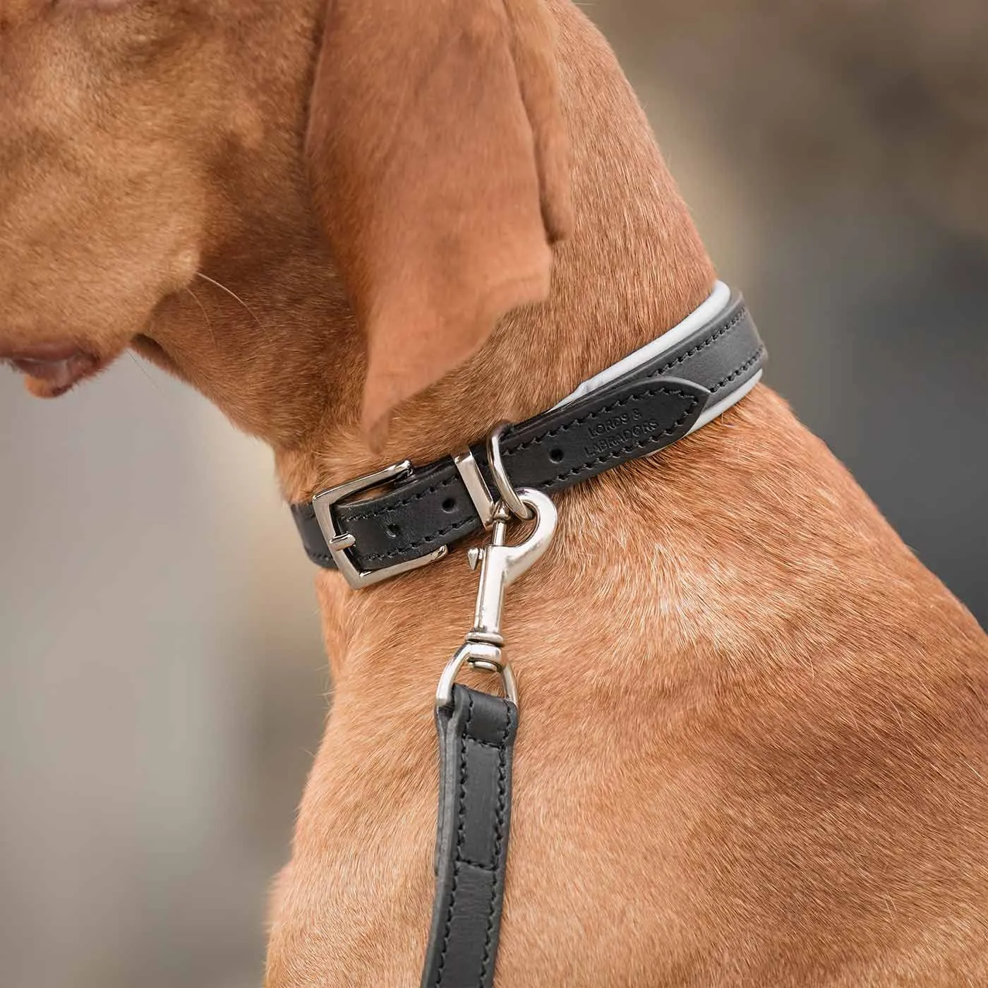 Italian Padded Leather Dog Lead in Black & Grey by Lords & Labradors