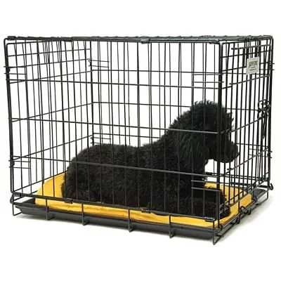 Jeffers Single Door Fold & Go Wire Dog Crate