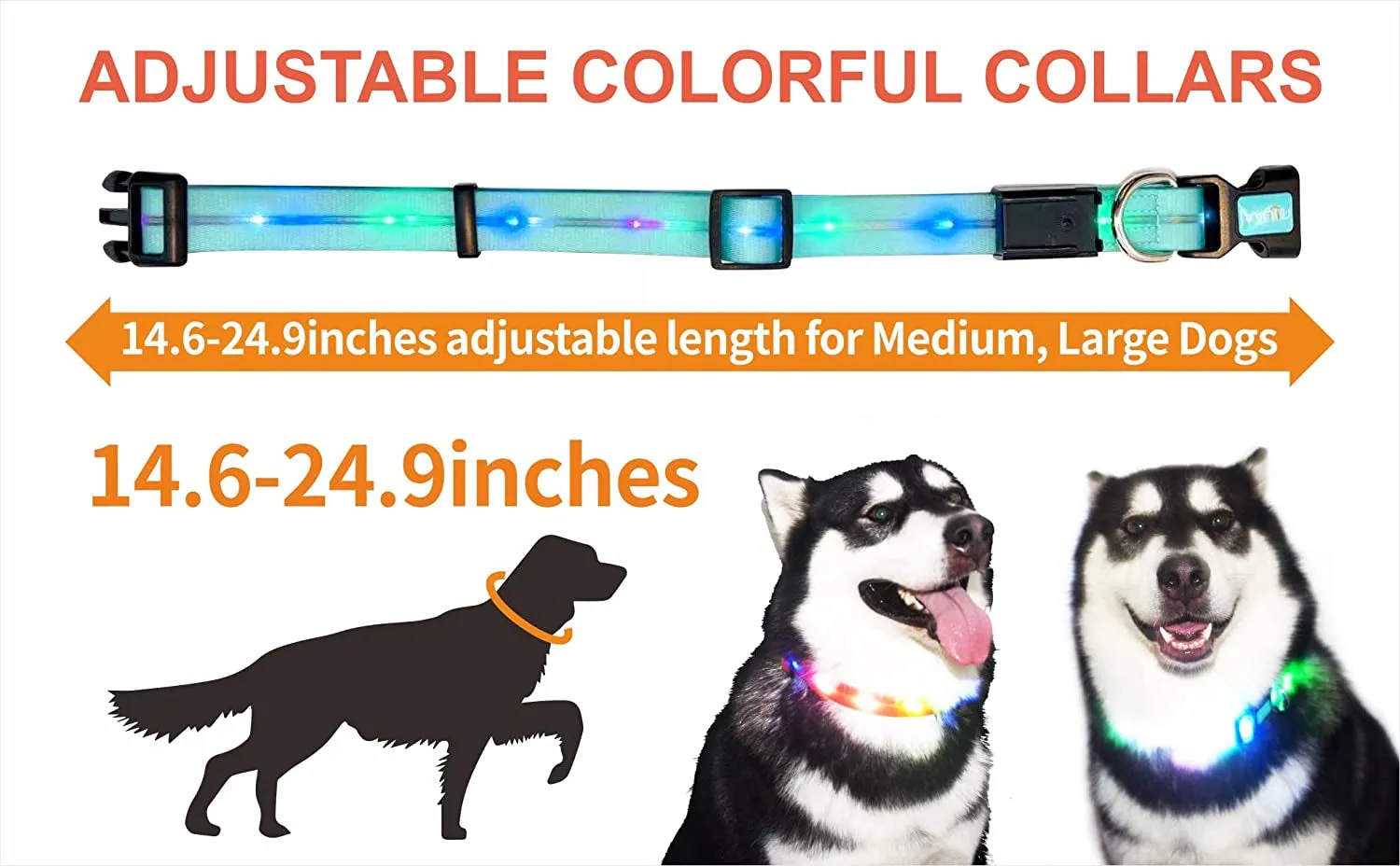 Lighted Safety Collar for Walking at Night for Dogs