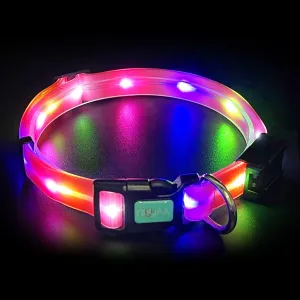 Lighted Safety Collar for Walking at Night for Dogs