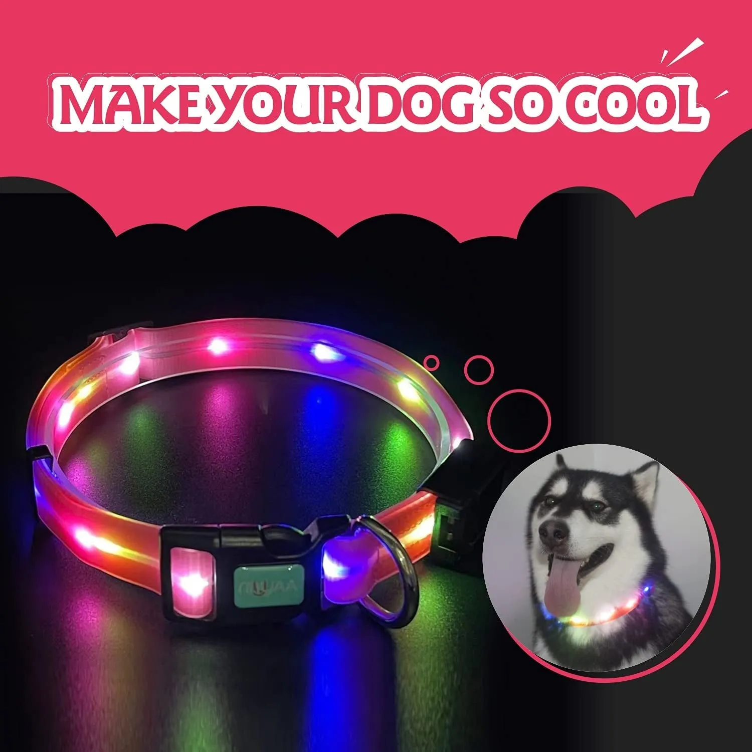 Lighted Safety Collar for Walking at Night for Dogs