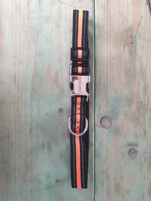 MediaPet Collar