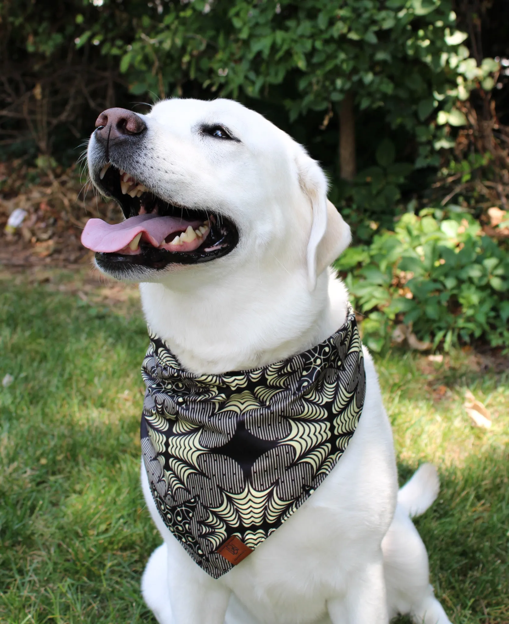 Naguru Dog Bandana