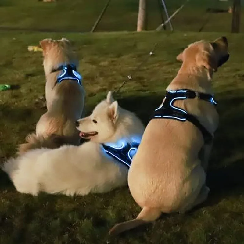 No-Pull Dog Harness