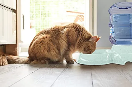 Noa Store Automatic Pet Water Dispenser 1 Gallon BPA Free Cat Food Dog Feeder