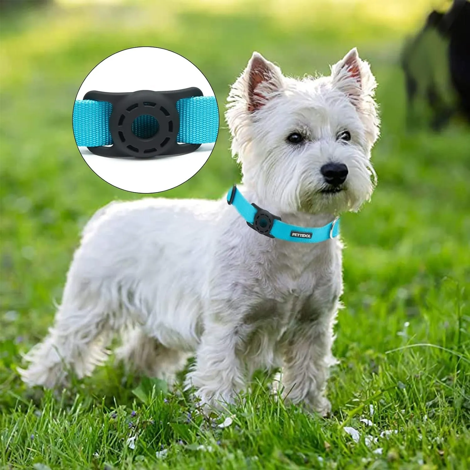 Nylon Dog Collar with Safety Locking Buckle
