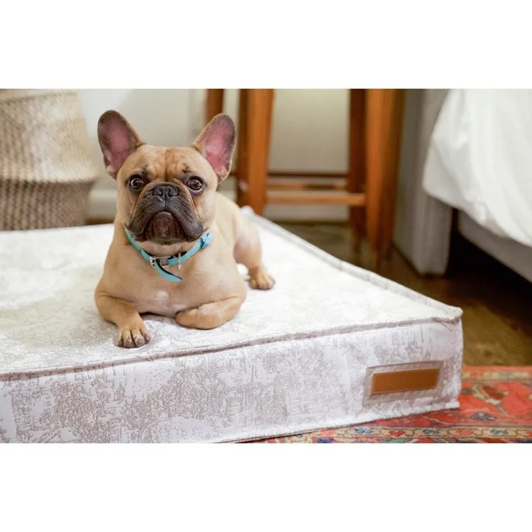 Orthopedic Lounger Small Pet Bed - Country Chase