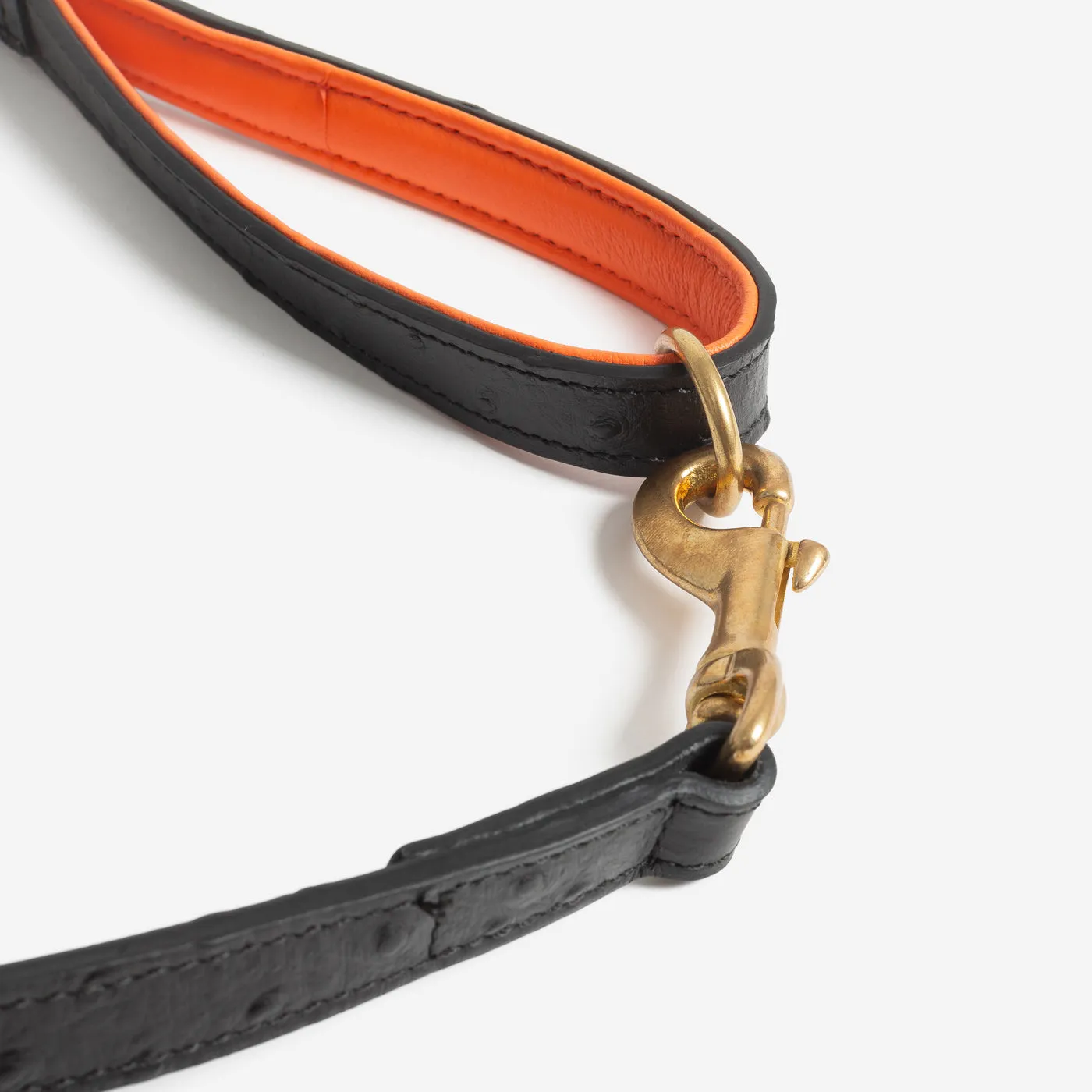 Ostrich Leather Dog Lead in Black & Orange by Lords & Labradors