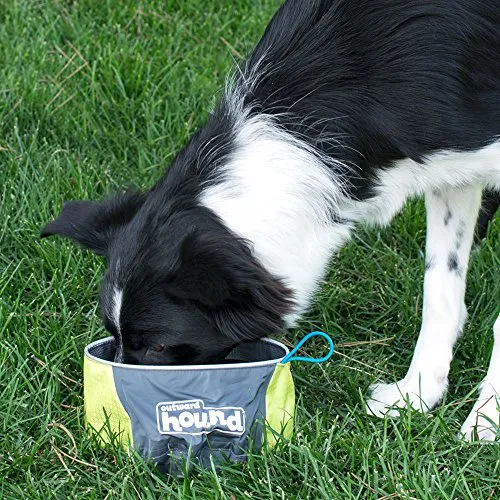 Outward Hound Port-A-Bowl Portable Dog Dish, 48 oz