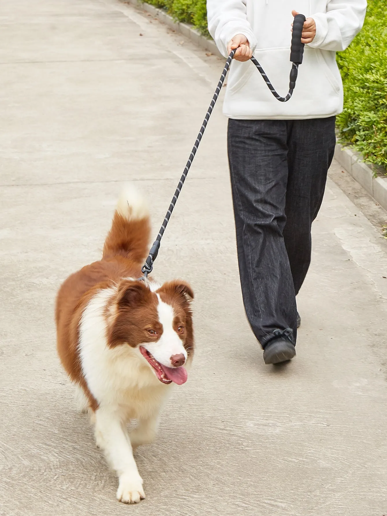 Pet Leash With Reflective Comfortable Padded Handle
