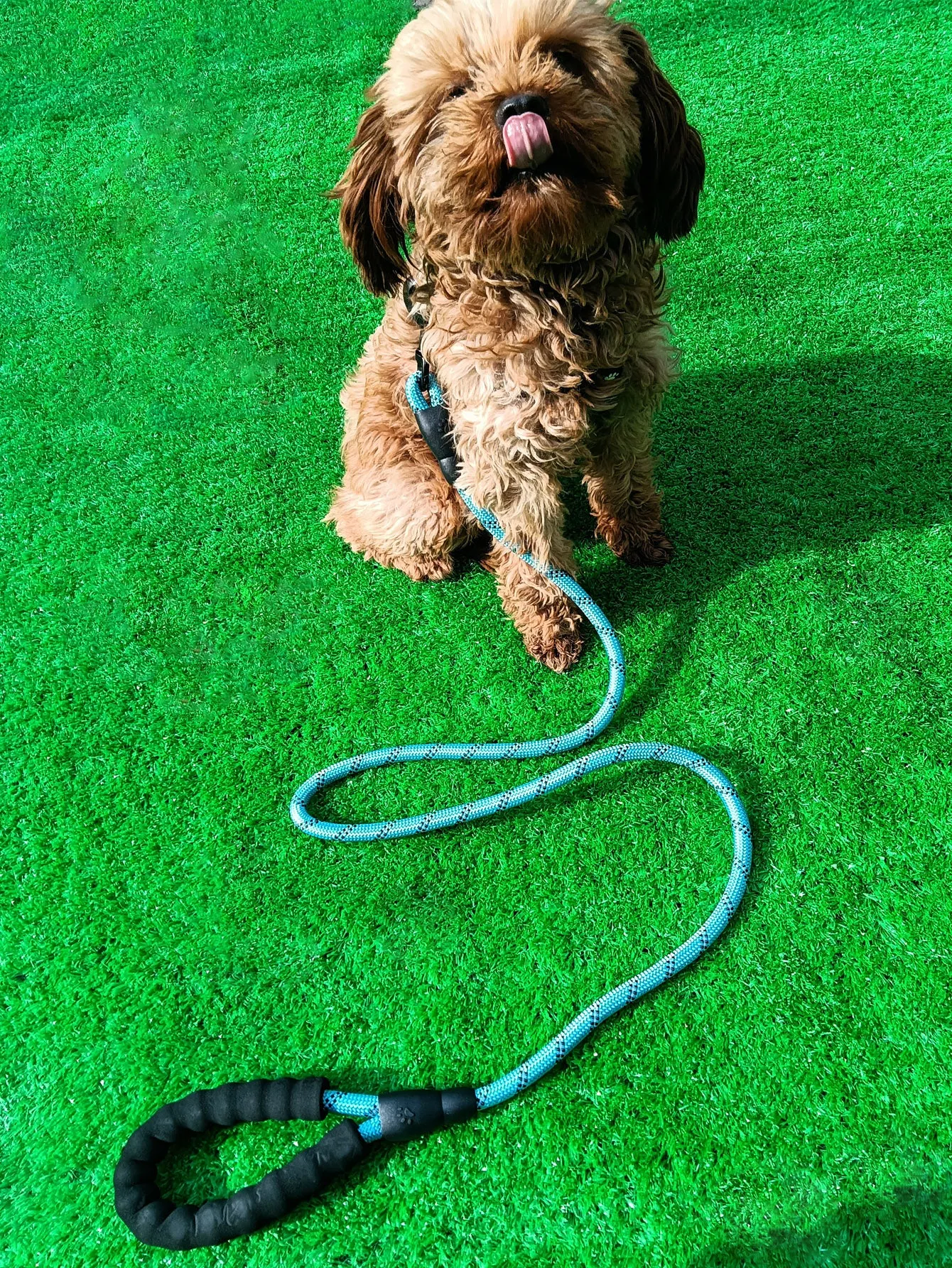 Pet Leash With Reflective Comfortable Padded Handle