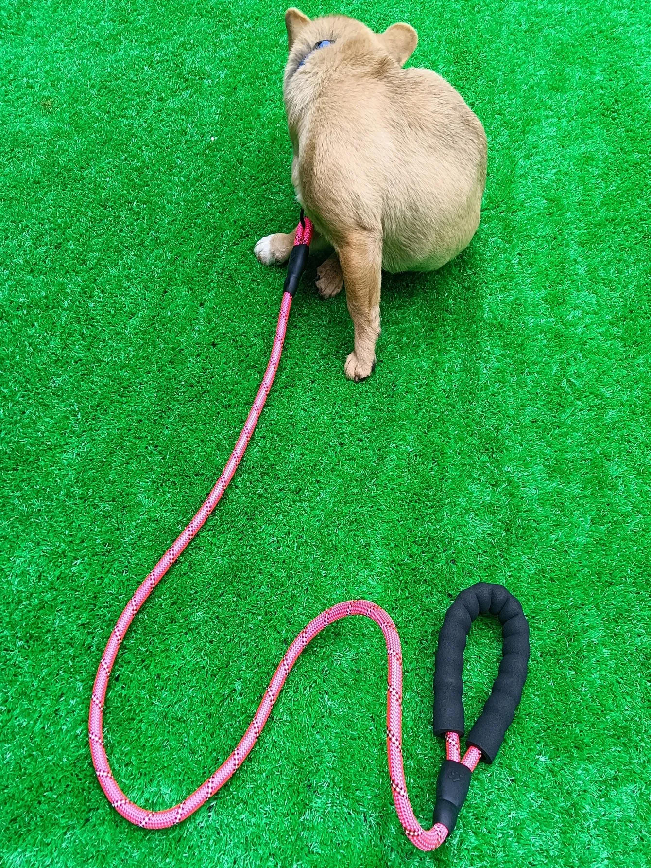 Pet Leash With Reflective Comfortable Padded Handle
