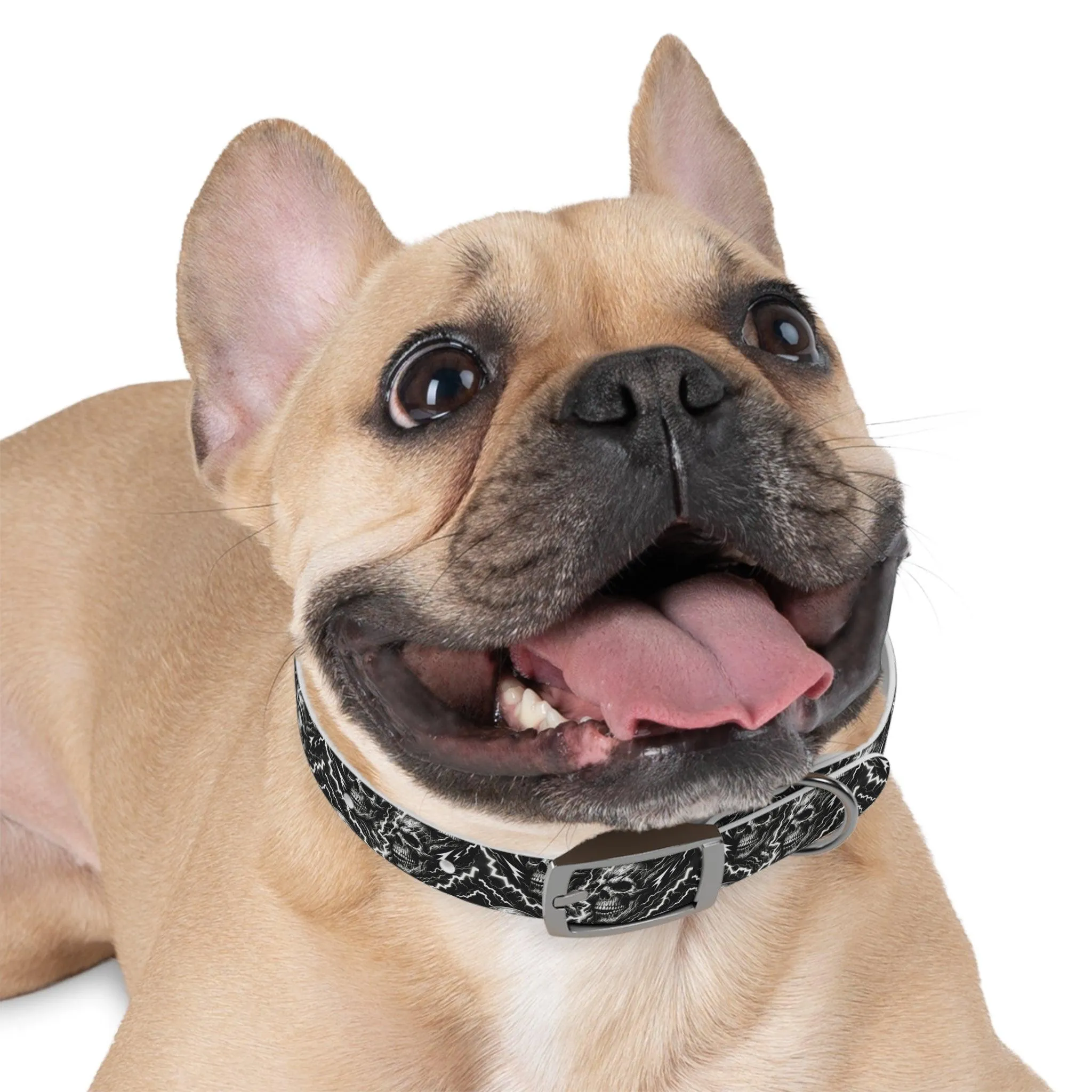 Rebel Volt Dog Collar