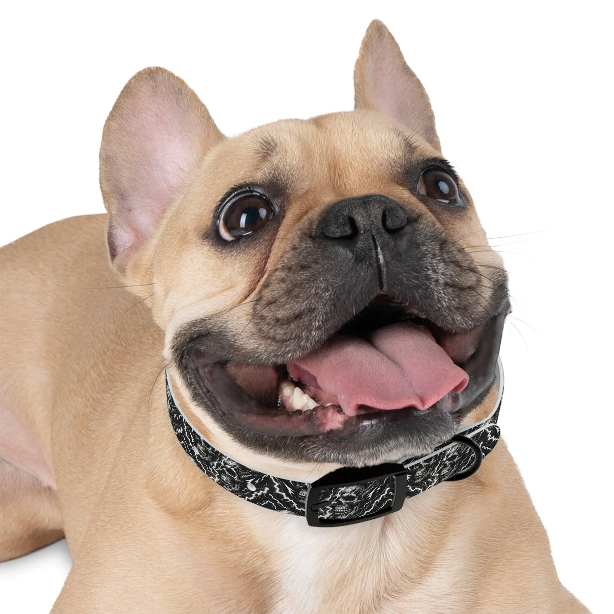 Rebel Volt Dog Collar
