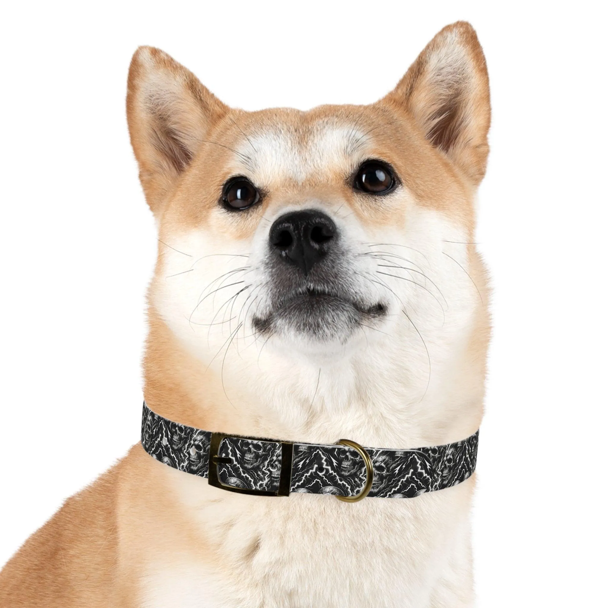 Rebel Volt Dog Collar