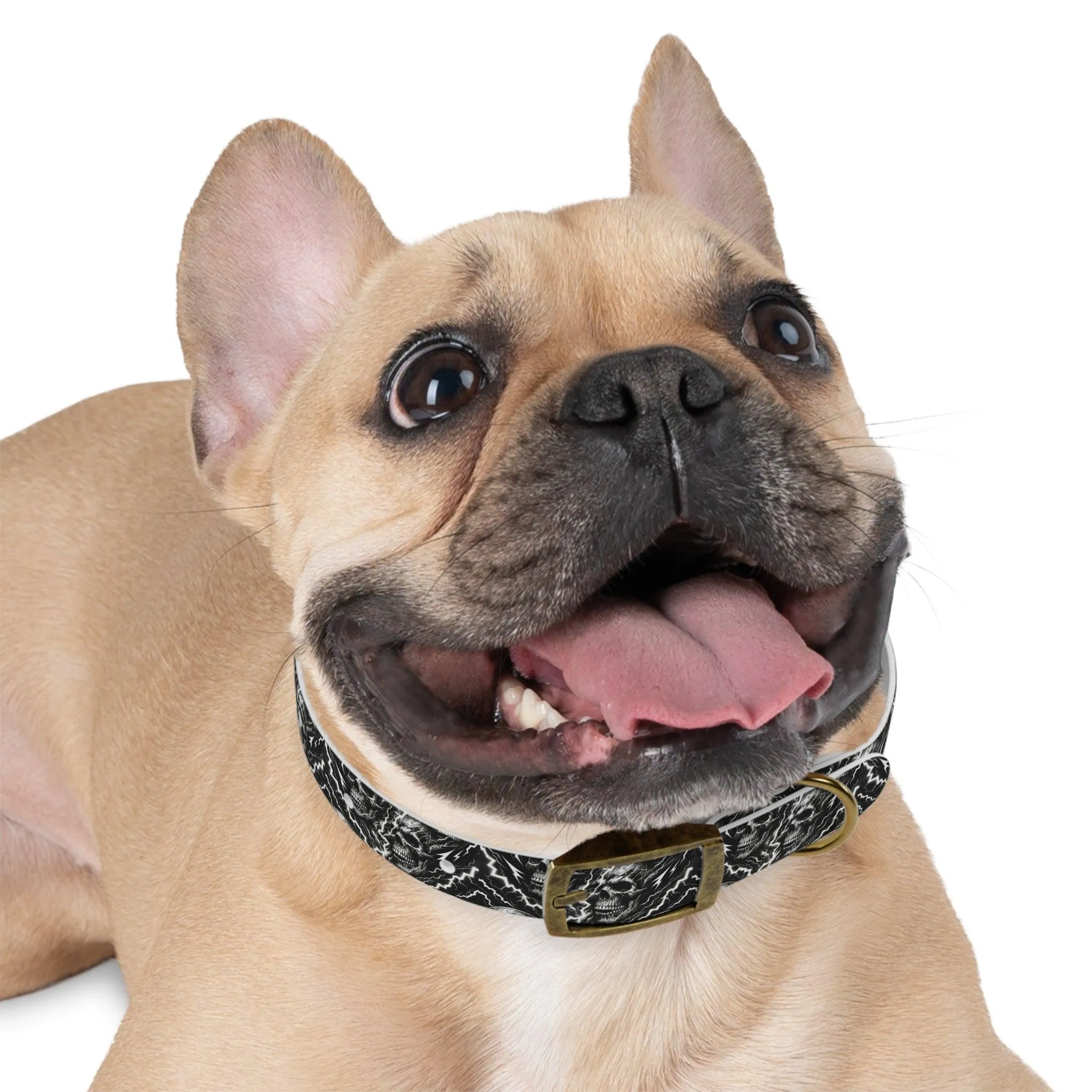 Rebel Volt Dog Collar