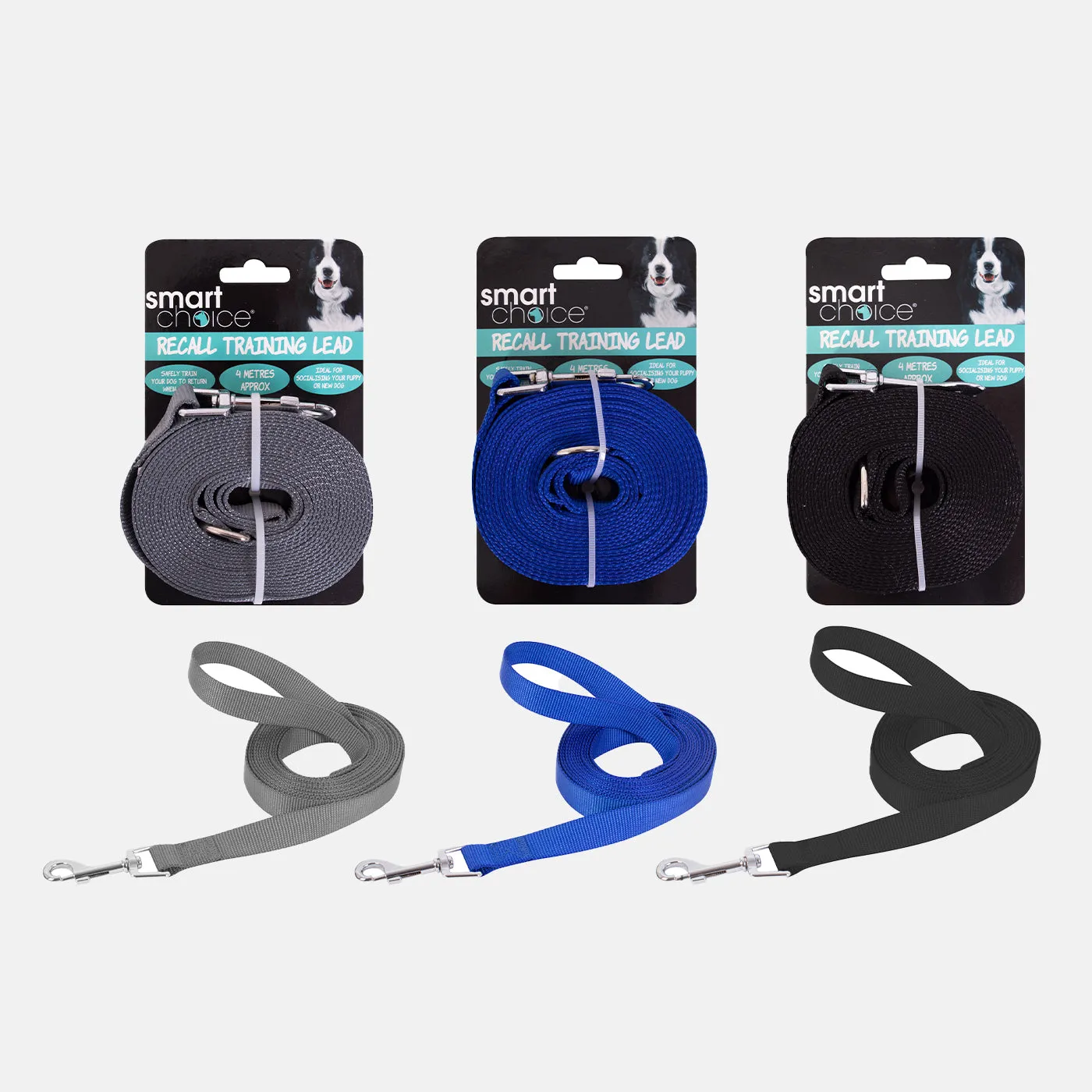 Recall Dog Lead 4 Metres