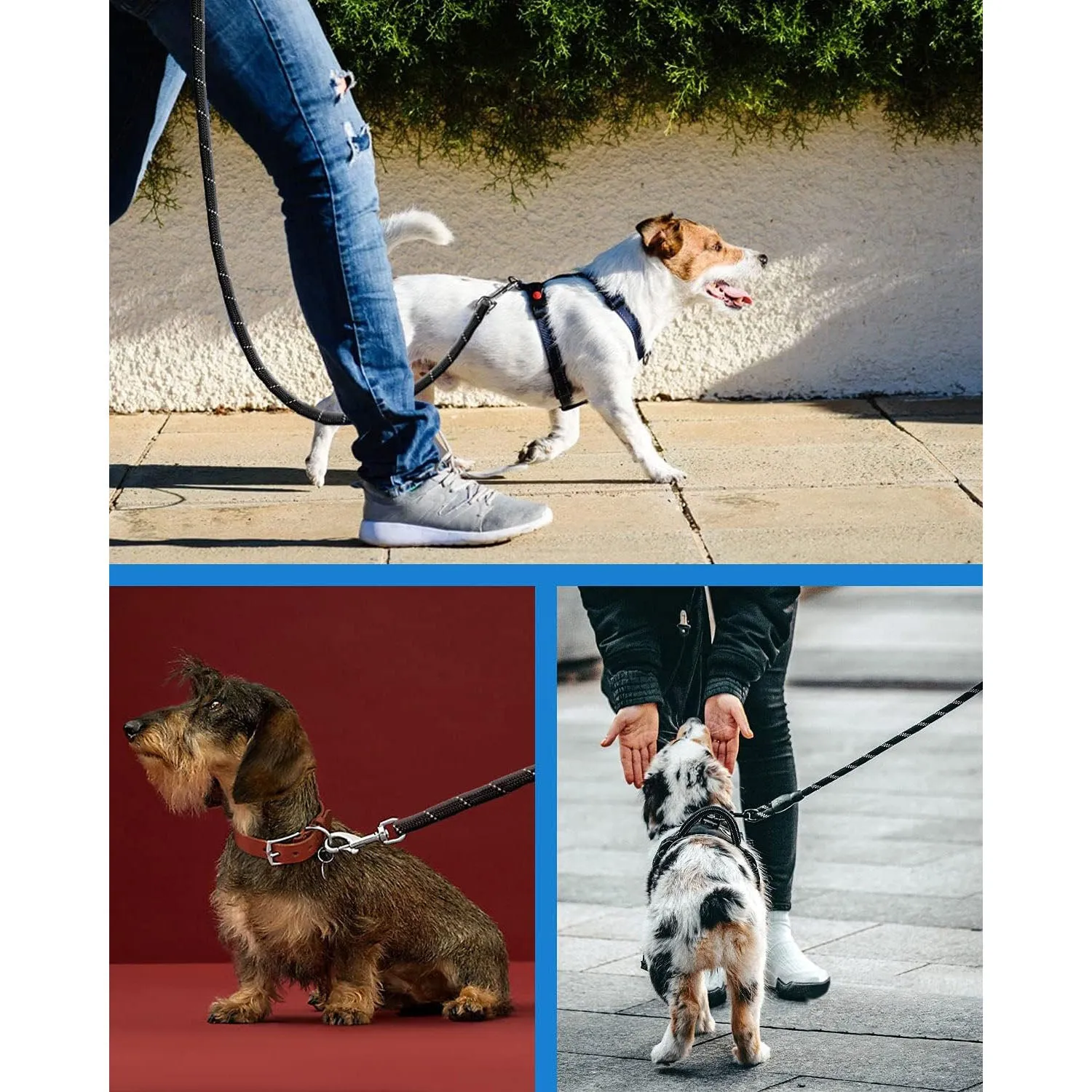 Reflective Rope Dog Leash 150cm-Gray