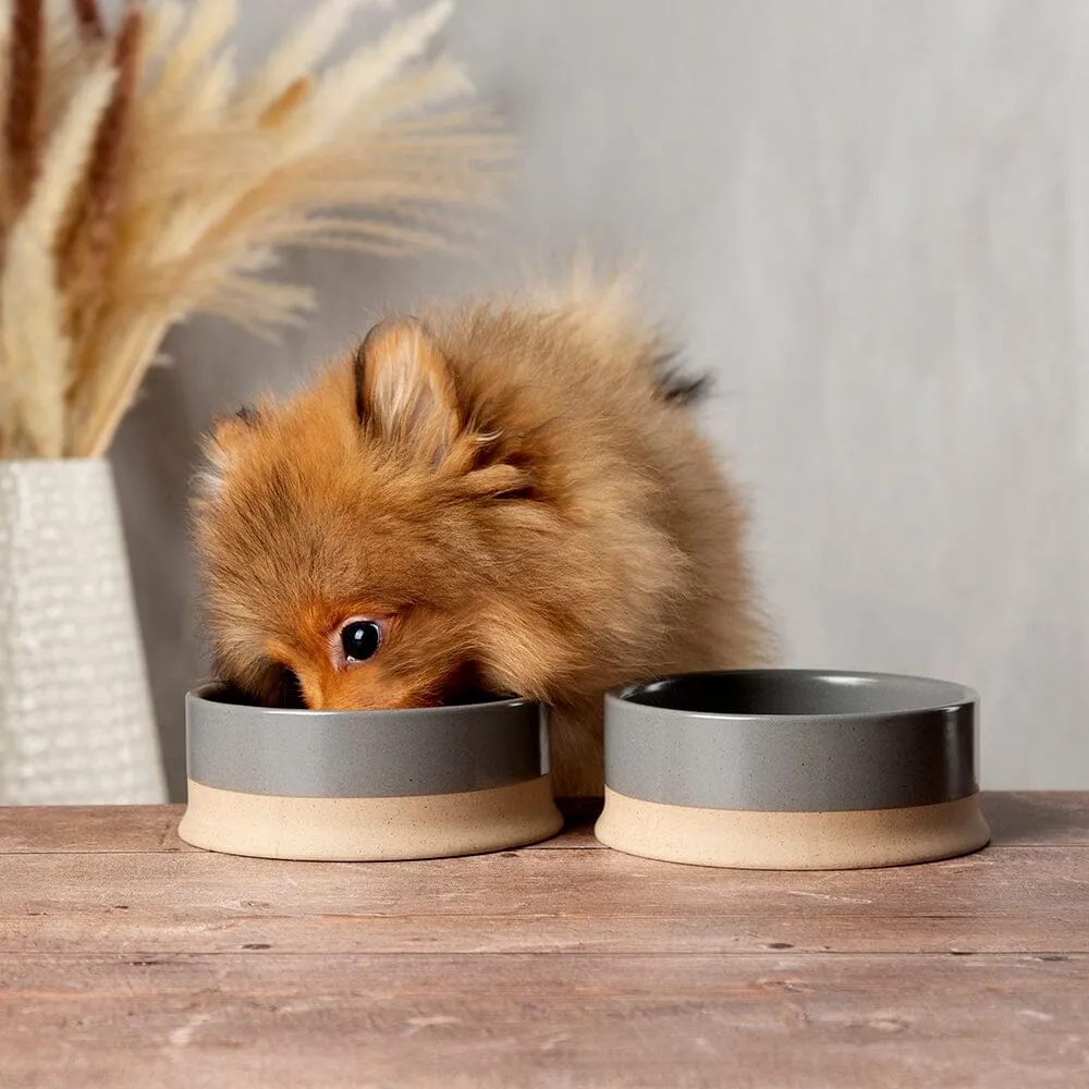 Scandi 2 Piece Non Tip Pet Food & Water Bowl - Grey