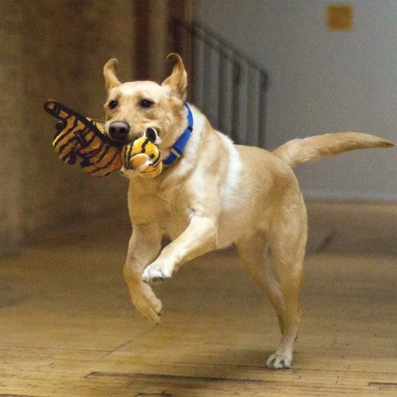 Tough Plush Tiger Toy For Dogs